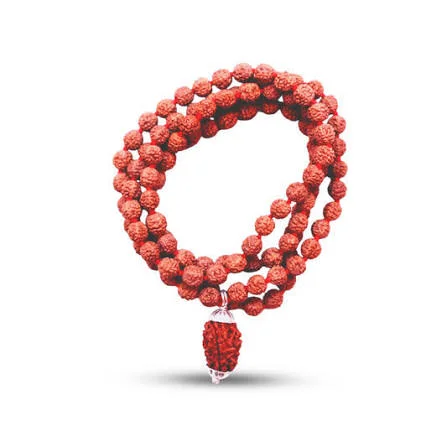 Panchamukhi Rudraksha Kankan – Guru Kripa